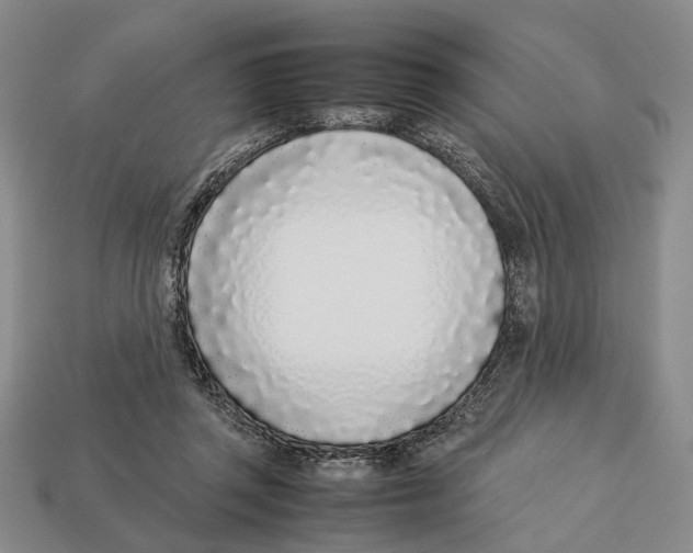 X0000113030357200909241418