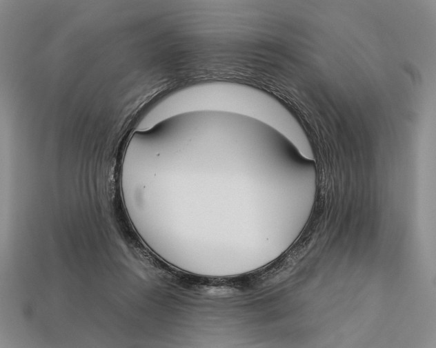 X0000113030360200909241419