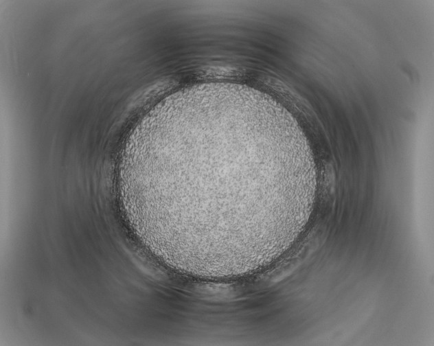 X0000113030361200909241419