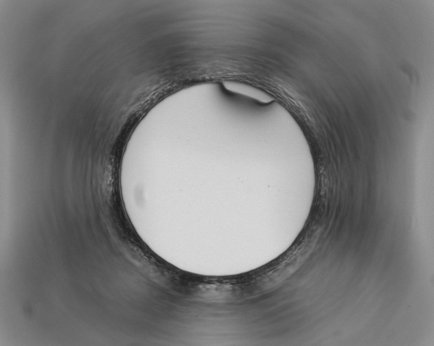 X0000113030362200909241419