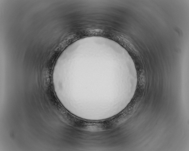 X0000113030363200909241419