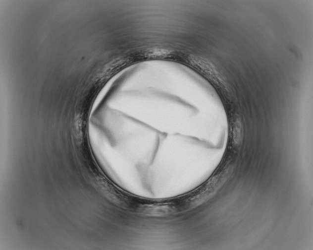 X0000113030366200909241419