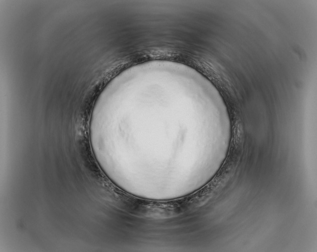 X0000113030367200909241419