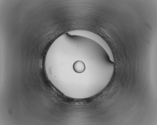 X0000113030368200909241419