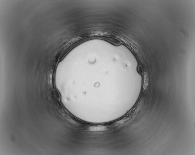 X0000113030369200909241419