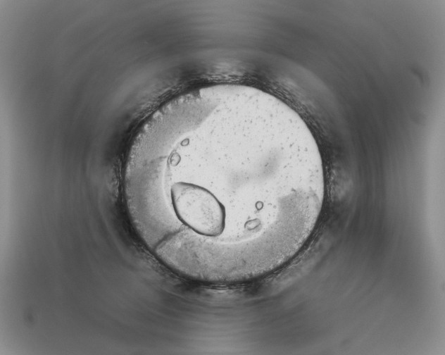 X0000113030370200909241419