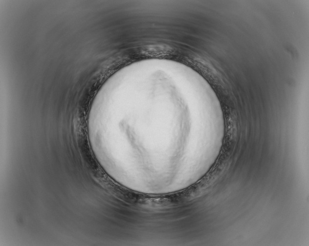 X0000113030371200909241419