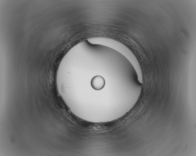 X0000113030372200909241419