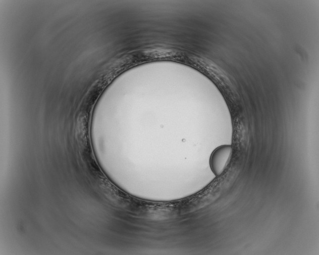 X0000113030373200909241419