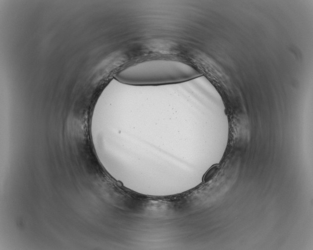 X0000113030376200909241419