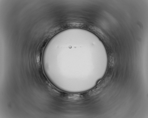 X0000113030377200909241419