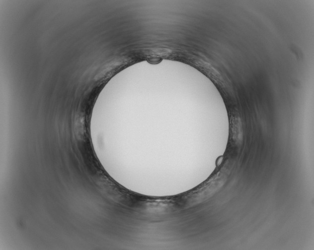 X0000113030378200909241419