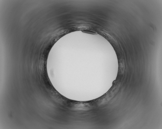 X0000113030379200909241419