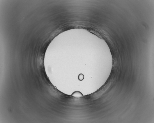 X0000113030382200909241419