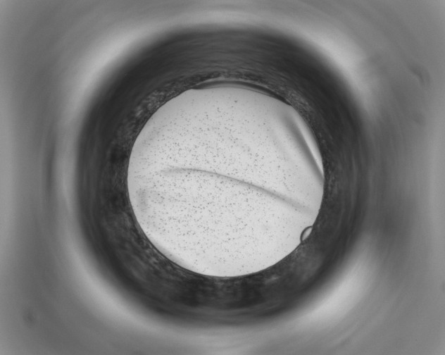 X0000113030383200909241419