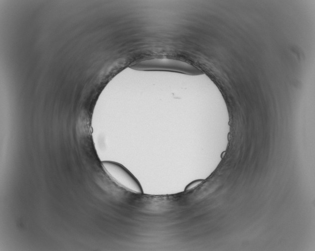 X0000113030384200909241419