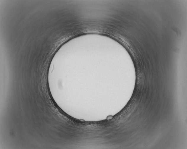 X0000113030385200909241418