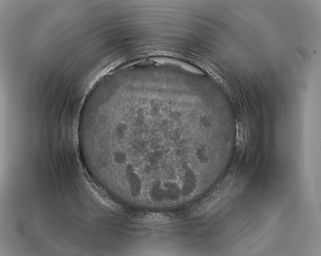 X0000113030390200909241418