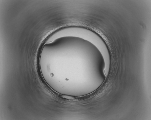 X0000113030391200909241418