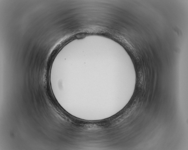 X0000113030392200909241418