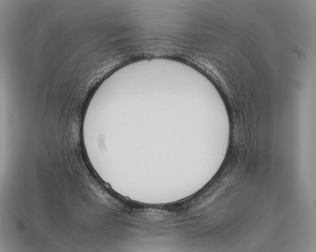 X0000113030393200909241418