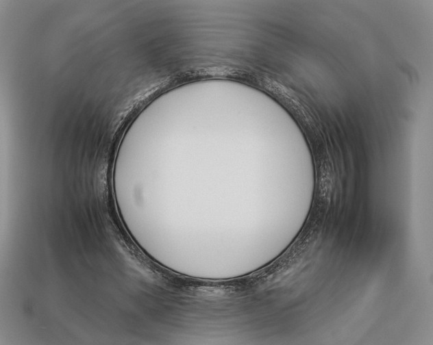 X0000113030394200909241418