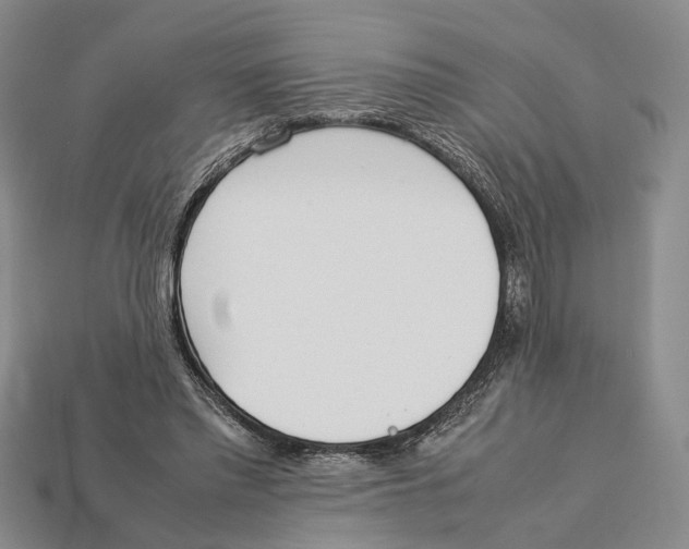 X0000113030397200909241418