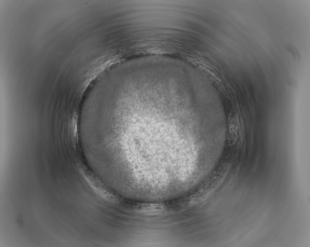 X0000113030398200909241418