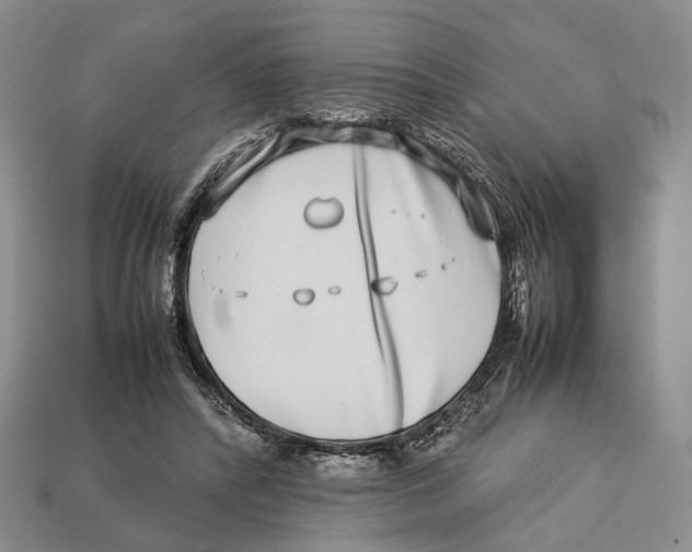 X0000113030400200909241418