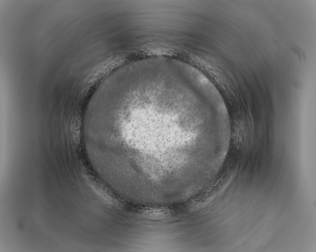 X0000113030402200909241418