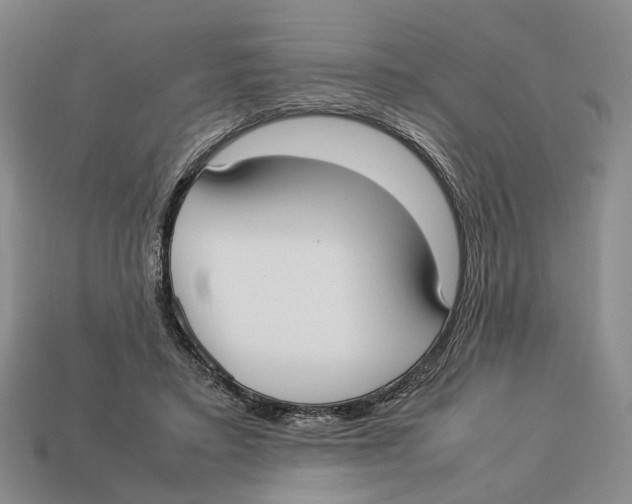 X0000113030403200909241418