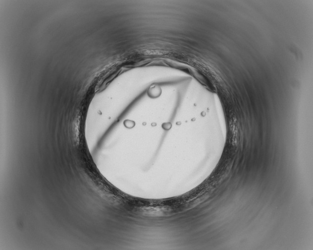 X0000113030404200909241418