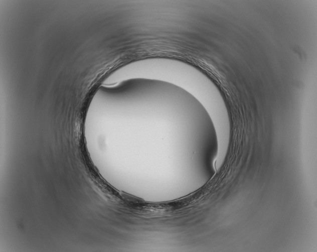 X0000113030405200909241418