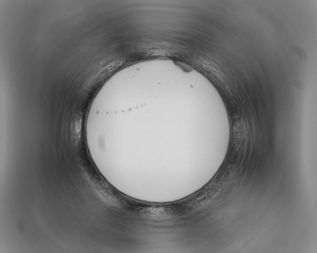 X0000113030406200909241418