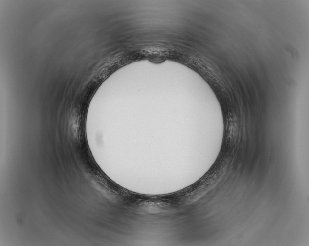 X0000113030408200909241418