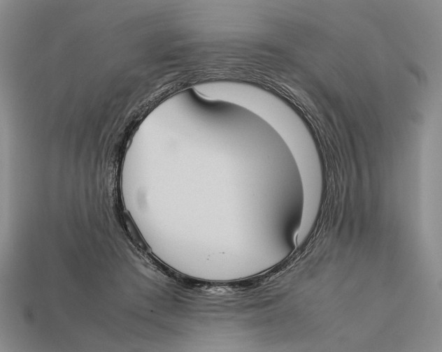 X0000113030409200909241418