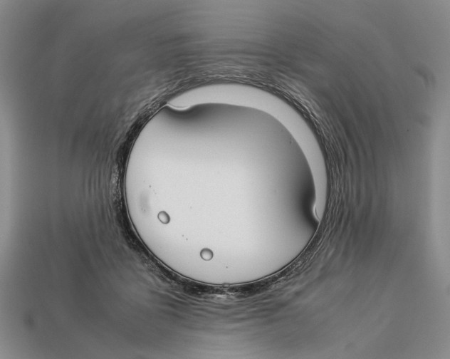 X0000113030411200909241418