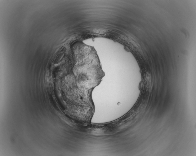 X0000113030412200909241418