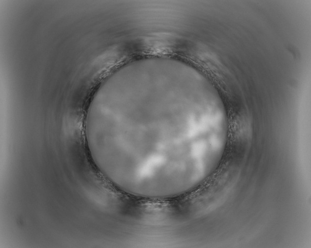 X0000113030415200909241418