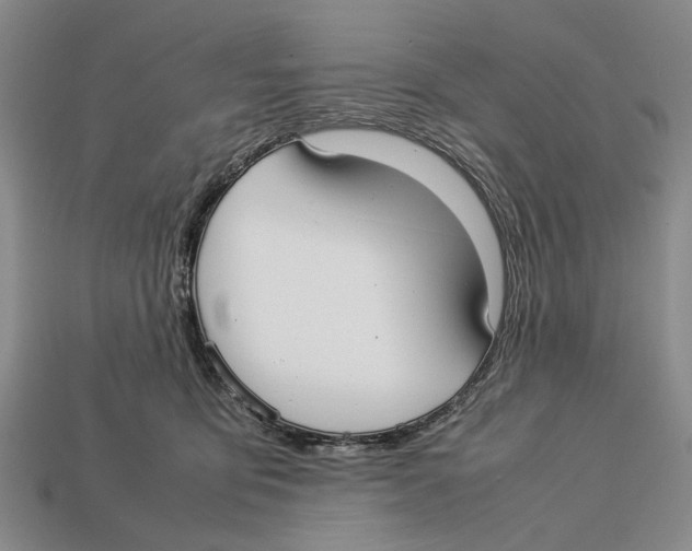 X0000113030419200909241418