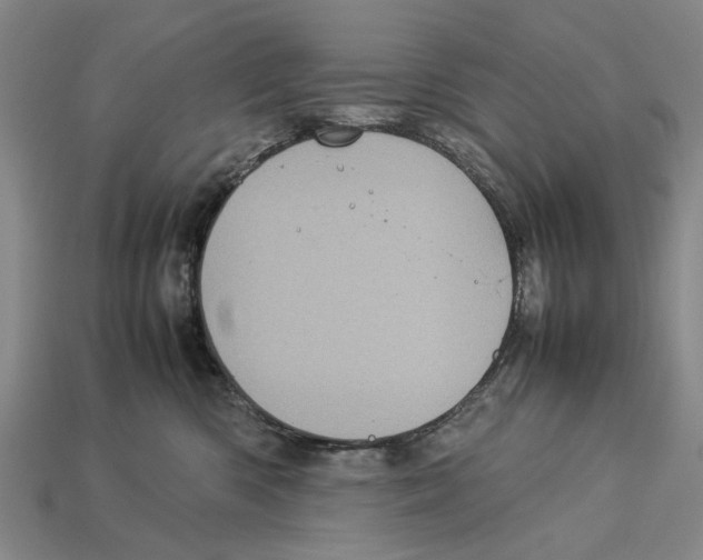 X0000113030426200909241418