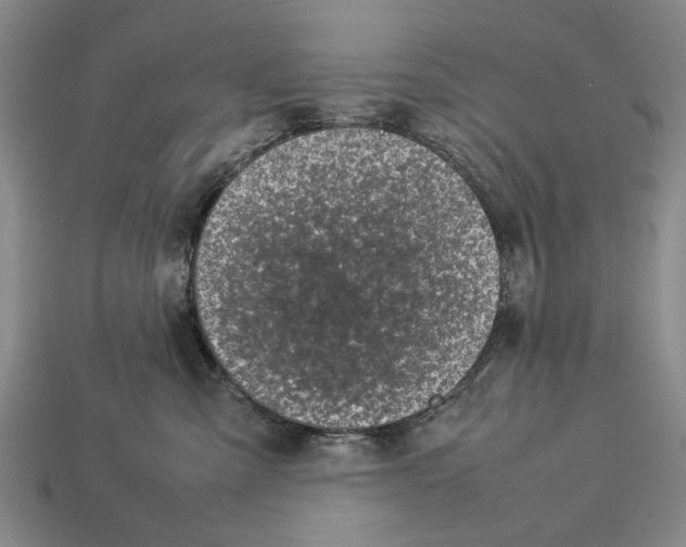 X0000113030427200909241418