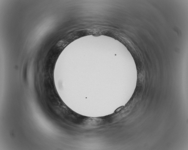 X0000113030429200909241418