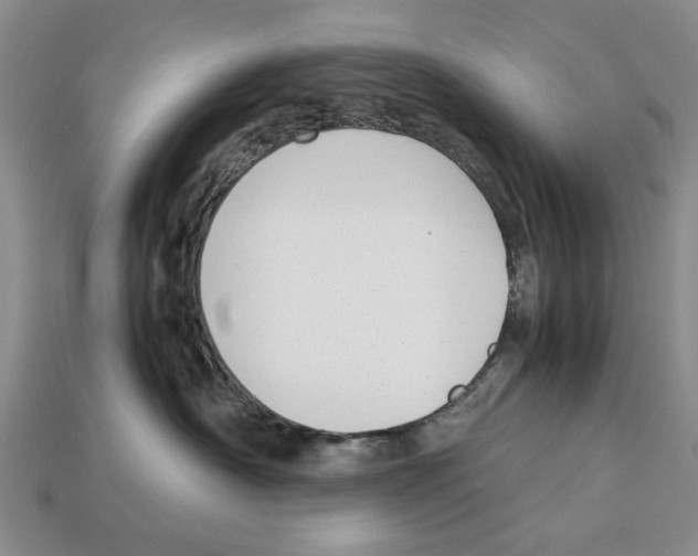 X0000113030430200909241418