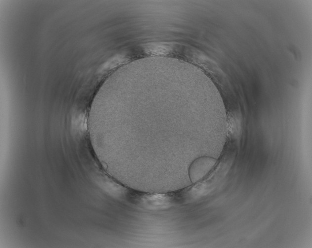 X0000113030431200909241418