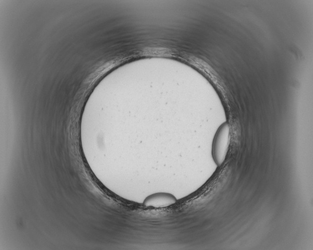 X0000113030433200909241417