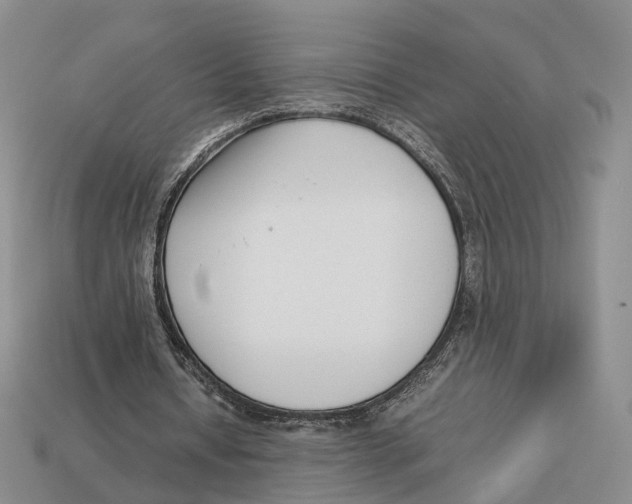 X0000113030434200909241417