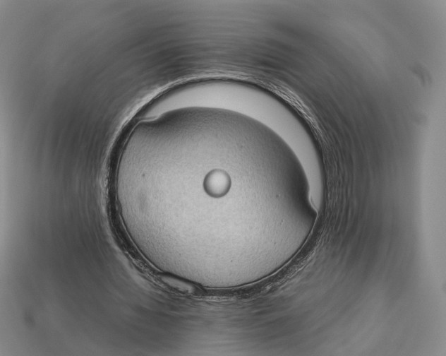 X0000113030436200909241417