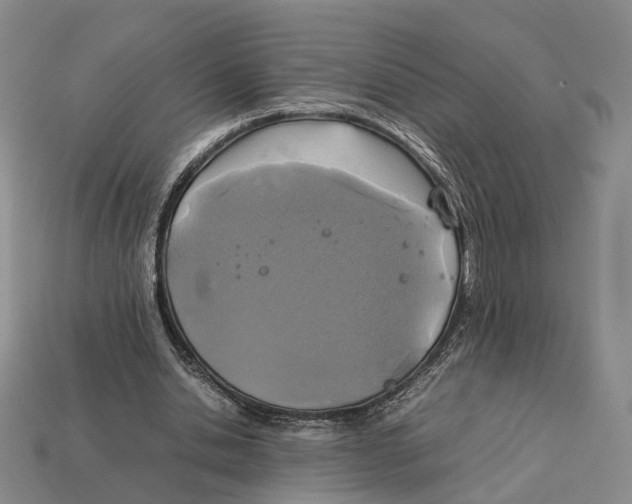 X0000113030438200909241417