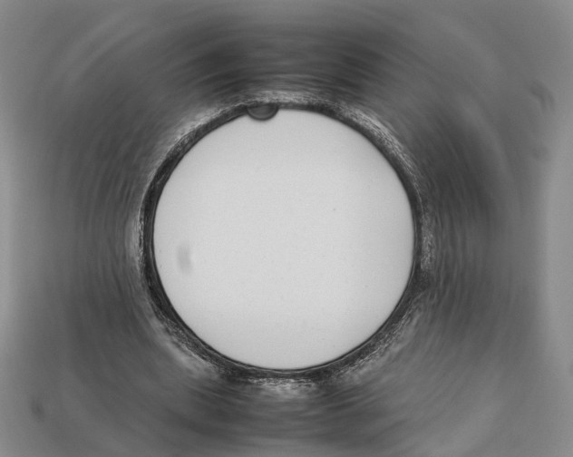 X0000113030439200909241417